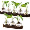 With Wooden Tray Hydroponics Glass Vase 3/5pcs Bottles Desktop Decorating Flowerpot  Office Decor