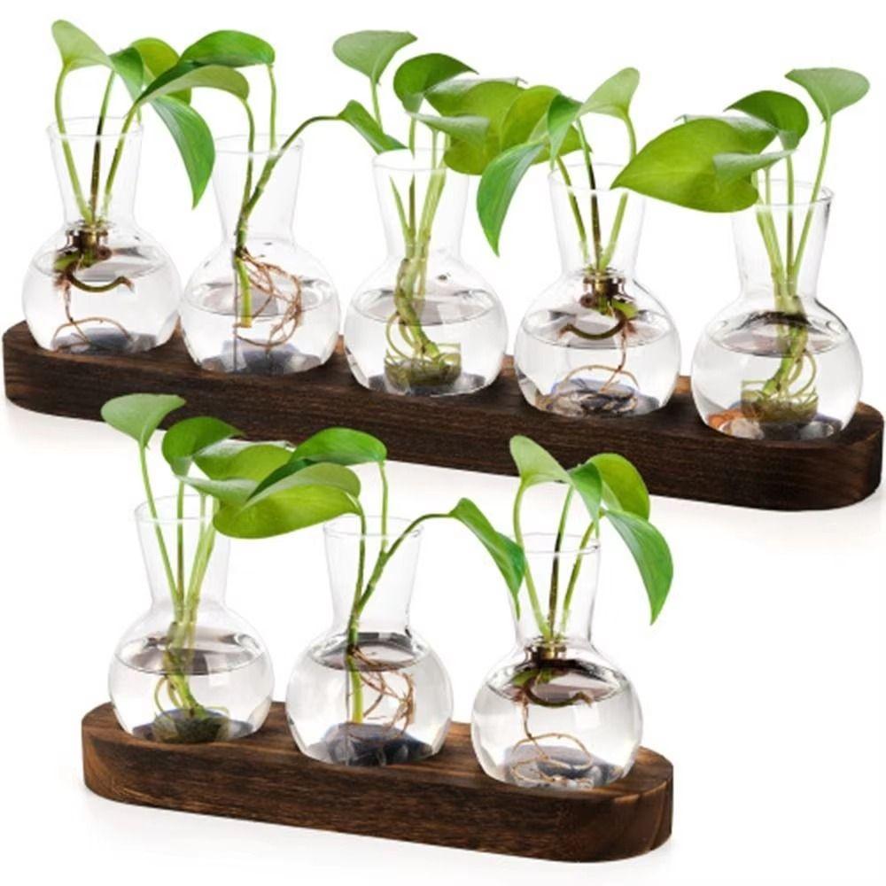 3/5pcs Bottles Plant Terrarium Propagation Station Transparent Desktop Decorating Flowerpot  Patio