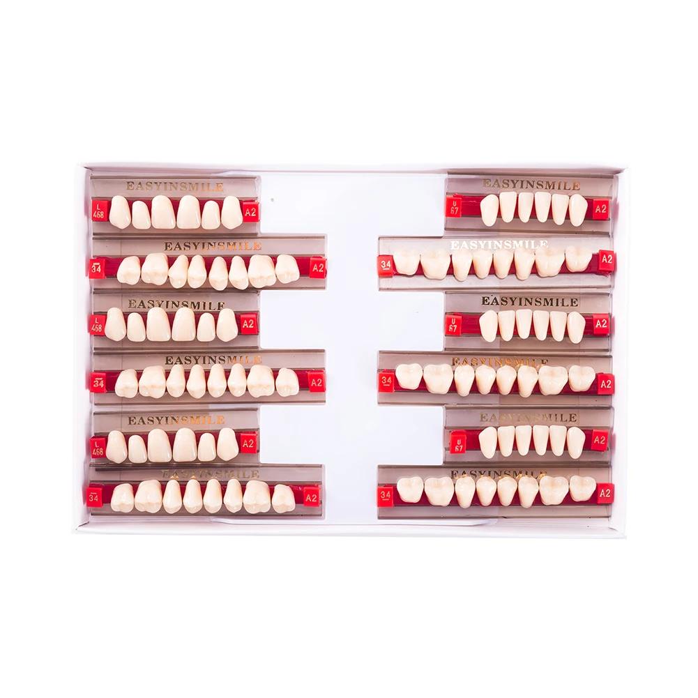 16/12 Sätze/Karton Zahnprothese Zähne Oberkiefer Frontzähne Unterkiefer Seitenzähne Dentier Synthetisches Polymerzähne Zahnmedizinische Ausbildungsmodell