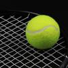 Piłki tenisowe Wysokie odbicie Trening Trening na zewnątrz Elastyczność Trwały tenis dla psów Gryź Chase i Chomp 6,5 cm Piłka dla psa