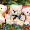 Hug the Bear S Animals/Max - (4 pieces)