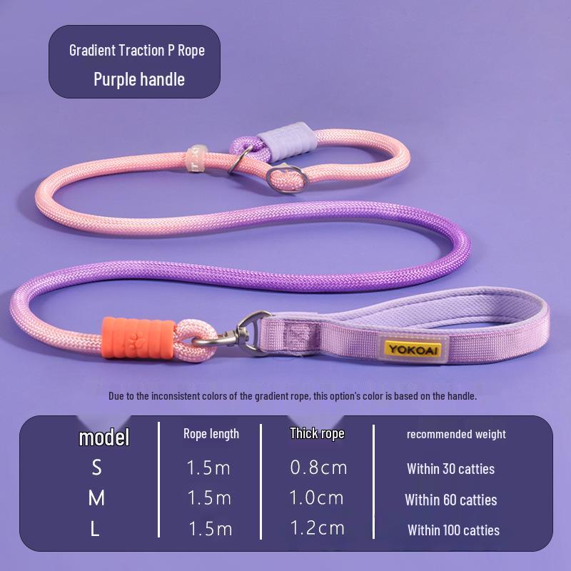 

Hot Selling Anti-Tangle Dog Leash for Medium & Large Dogs 1.5M*1.0cm-M