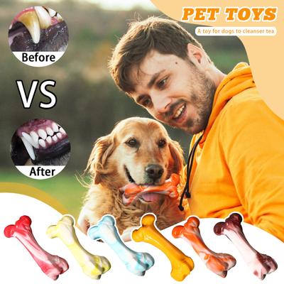 Psy – Hračky pre psov