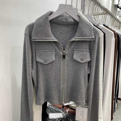 Polo T-shirt Long Sleeve Women's Spring New Design Cardigan Slim Fit Bottom Top