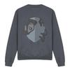 Star Trek Unisex Adult The Borg Sweatshirt