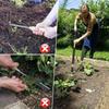   Gardening Weeder With Detachable Stainless Components Standing Operation Reduces Back Strain During Use