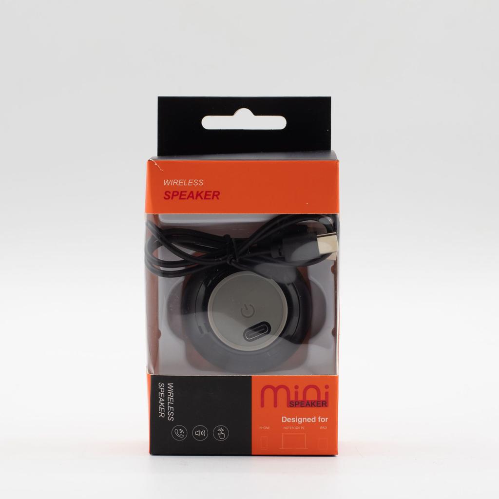 Mini Speaker – Beyond Size