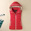 Women Autumn Winter Hooded Cotton Warm Vest Female Students Streetwear Korean Loose Sleeveless Parkas Vest