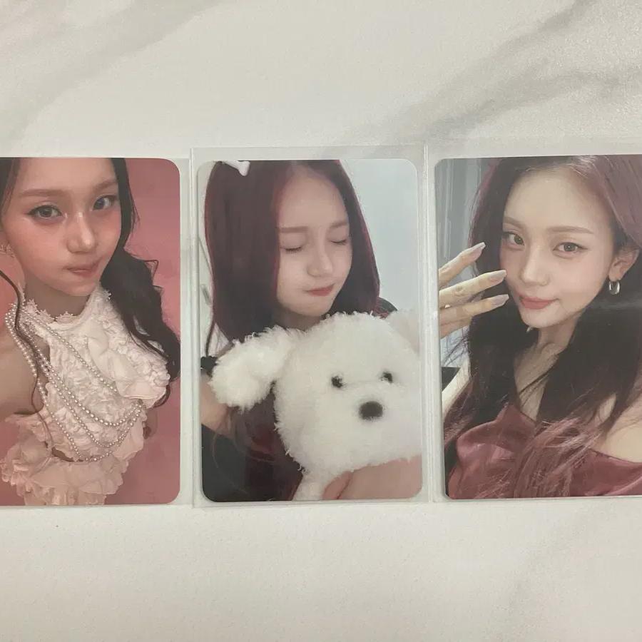 

Viviz Photocard Sell
