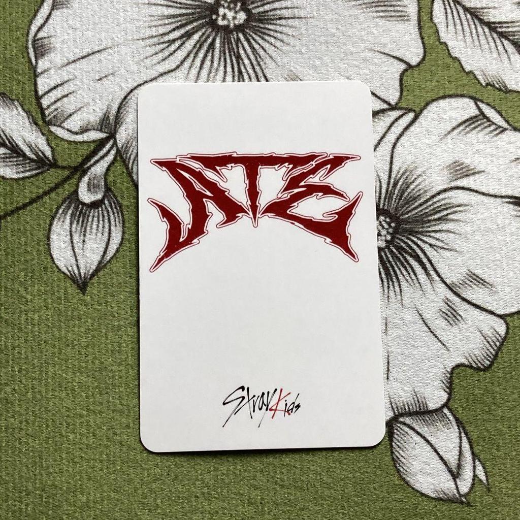 [USED] StrayKids Seungmin Event Limited ATE Seungmin Trading Card