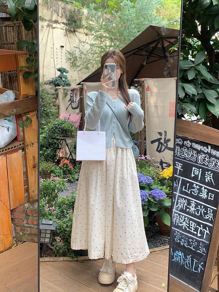 2026 Spring/Summer Polka Dot A-line Skirt for Women - Slimming & Versatile Hip-Covering for Early Autumn Casual Wear