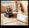 Black Myth: Wukong, the Monkey King, the Chosen One, Resin Decorative Ornament, Game Peripheral, Figure, Model, Journey To the W