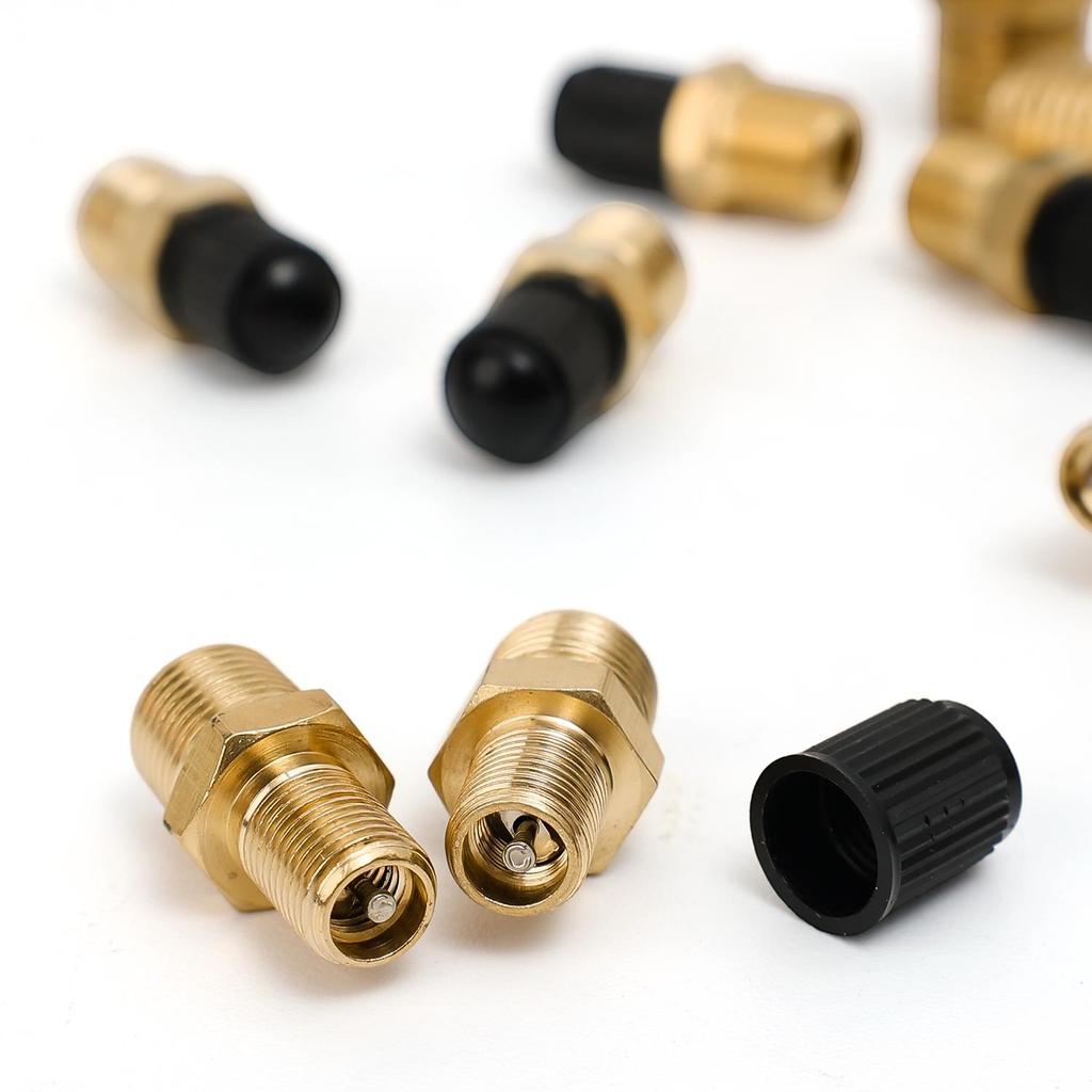 1/2pcs Professional 1/4 NPT 1/8 NPT M10 Car Tire Valve Core Air Compressor Tanks Fill Valve Anti-Corrosion Schrader Valves