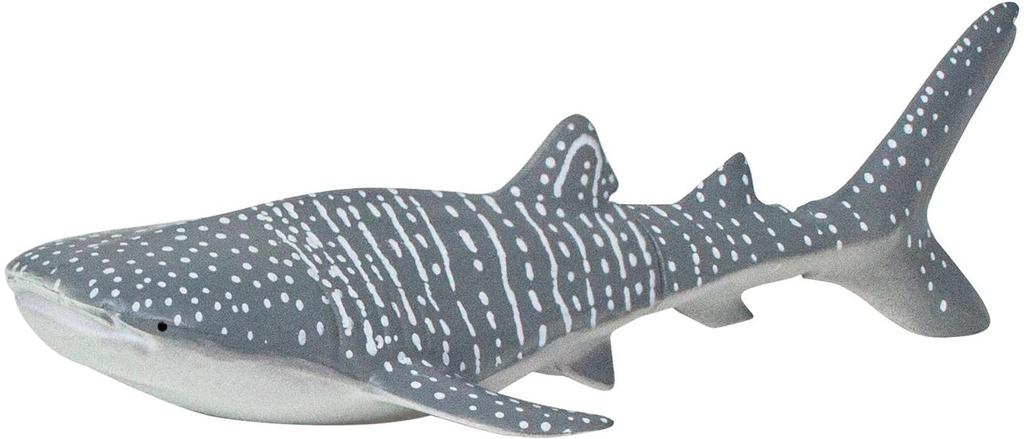 3D Illustrated Guide To Okinawa's Ocean