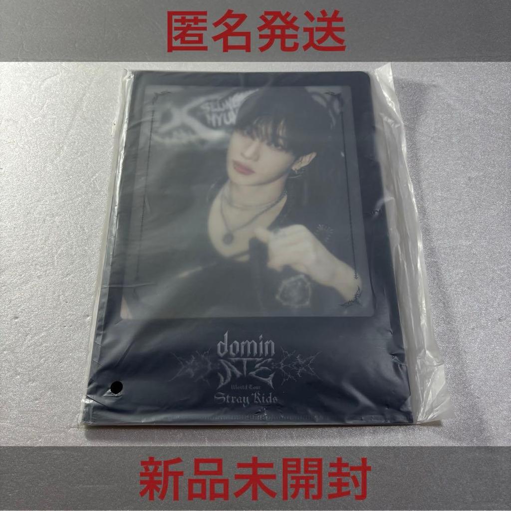 [USED] Stray Kids dominATE Seoul Concert L-holder Poster