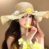 Flower Bow Straw Hat Women's Summer Seaside Beach Vacation Wind Hat Travel Photo Big Brim Sun Hat