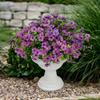 2Pcs Artificial Violet Flowers Faux Silk Bouquets Realistic Fake Plants for Living Room Home Wedding Event Table Decor