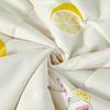 Luolai Home Textiles Holiday Lemon Washable Summer Quilt