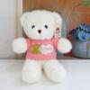 Cute Eyelid Bear Plush Toy Grab Machine Doll Hug Bear Doll Rag Doll Children'S Birthday Gift