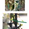 13cm Plant Support Strap Plastic Cable Ties With SelfLocking Design For Vegetables Flowers Potted Plant Gardening