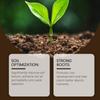 Soil Nutrient Activation Powder, Special Fertilizer For Horticulture Soil Improvement Soil Fertility Improvement Nutrient Powder