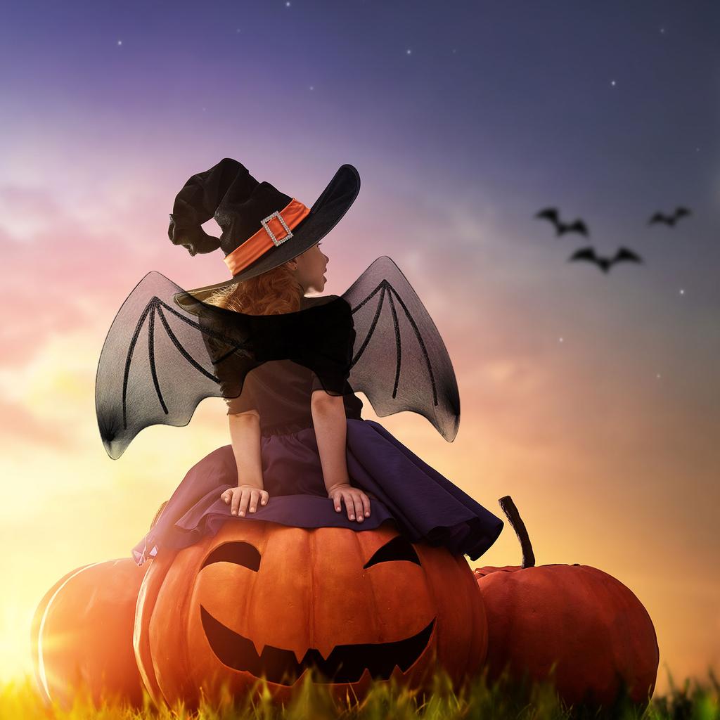 Black Mesh Bat Wings 60x28cm Halloween Party Costume Prop