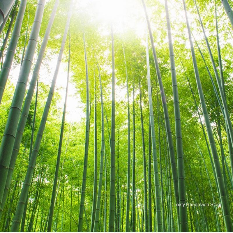 100PCS 20/30CM Disposable Bamboo Skewers Wooden Grill Grilling Bbq Tools Outdoor Cooking BBQ Sticks Barbecue Tools Fruit Sticks