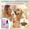 Pet Dog Skin Care For Main Food Staple Combination Nutrition Addition Drop Solution  60ML