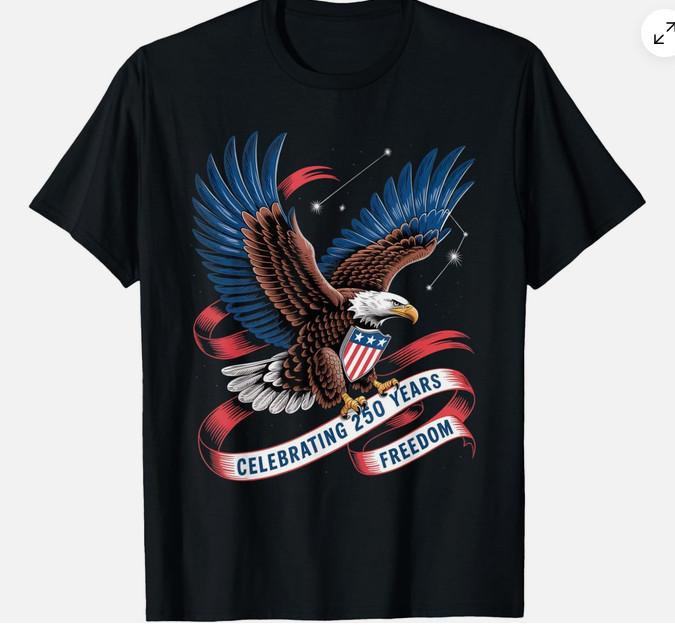 250 Years America Anniversary USA 250th Birthday Apparel T-Shirt 3XL