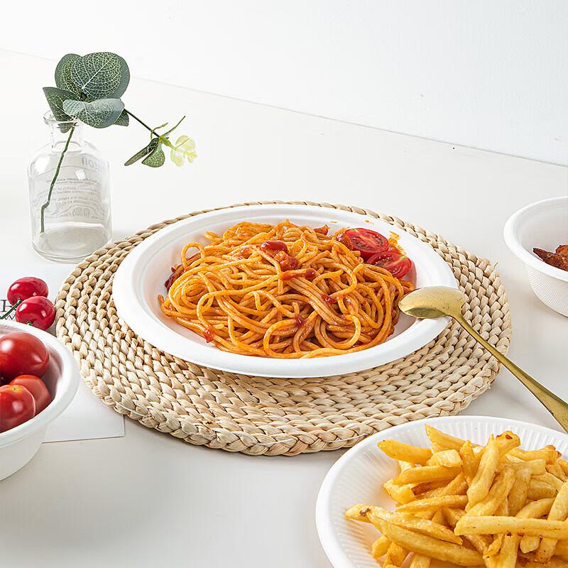 JingJingRS Disposable Sugarcane Pulp Plates