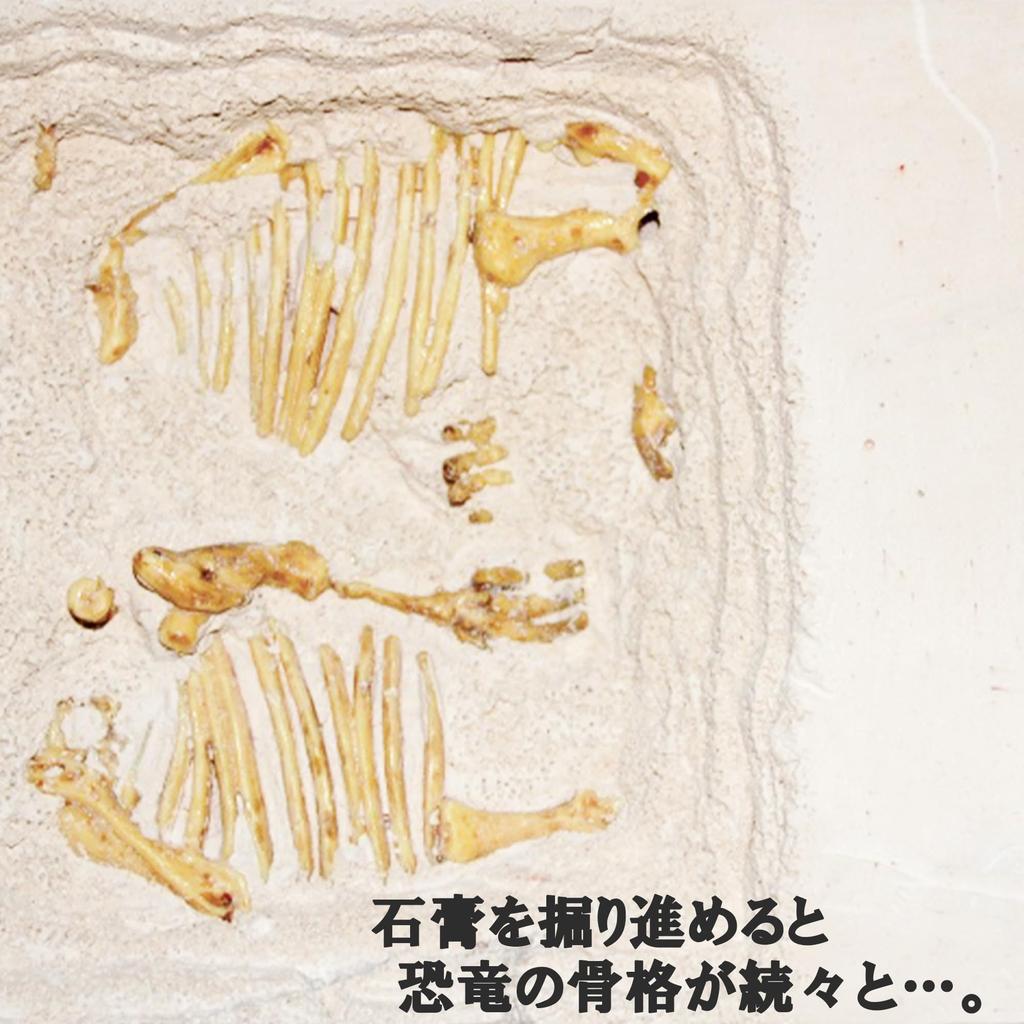 Excavation Dinosaur Ice Triceratops 1 Senshu towel wiping off for ages 6 and includes chisel and plastic independent science miscellaneous educational