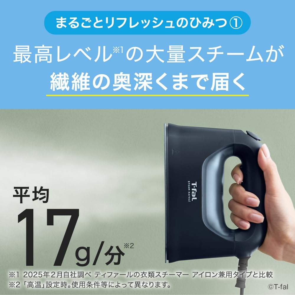 Steam Clothing Refreshes Your Clothes with and Disinfects Handheld Matte DV8076J0 [Online Exclusive] T-fal Iron, 2-Way Steamer, One-Push Steam,