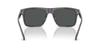 Sunglasses 0EA4232F TRANSPARENT DARK GRAY 57 [Emporio Armani]