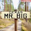 2D Flat - [Activated] 2D Flat 2D Plane - Retro Texas Big Man 2D Flat Decorative Sign, 40.01 X 10.01 Cm, Printing, Multi-Scene Indoor/Multifunctional -