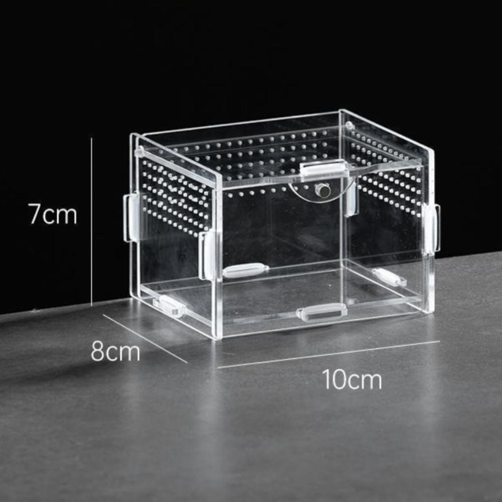 Anti-Escape Reptile Habitat Clear Spider Feeding Case Durable Lizard Breeding Box  for Chameleon