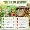 Frucht-Gemüse-Formung Drehte Kunststoffform Zum Wachsen Einzigartig, Wiederverwendbar Transparent Garten-Formungs-Boxen-Set Für Tomate