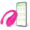Wireless Bluetooth APP Control Vibratiors Wear Vibrating Stimulator Egg G Spot Dildo Vagina Massager For Women Adults Panties