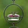 Hummingbird Feeders For Outdoors Hanging, Bird Feeding Station, Decorative Bird Feeder, Nopower Needed Feeder, Durable Bird Feeder