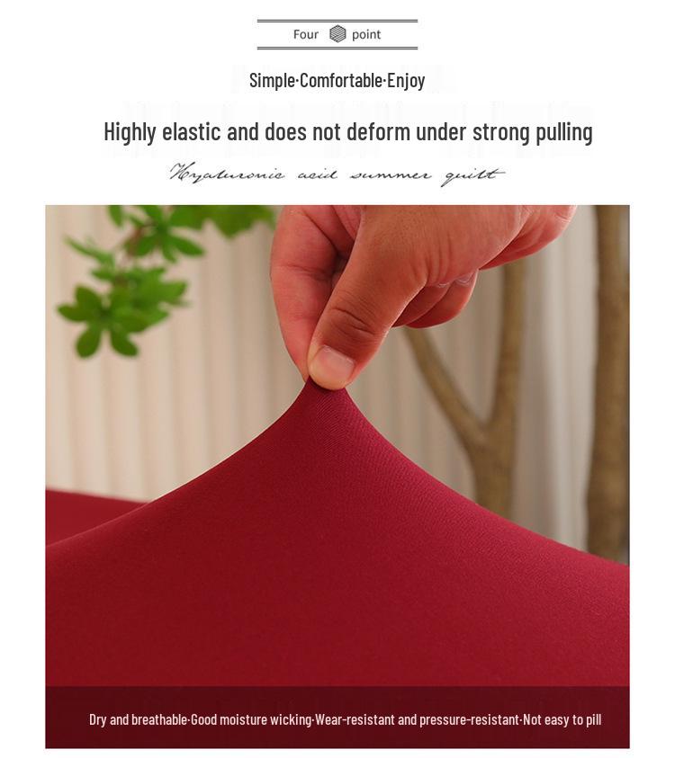 Solid Color Foldable Armless Sofa Bed Cover