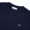 LacoSte Fw24 Women S Sweater Af9551 166