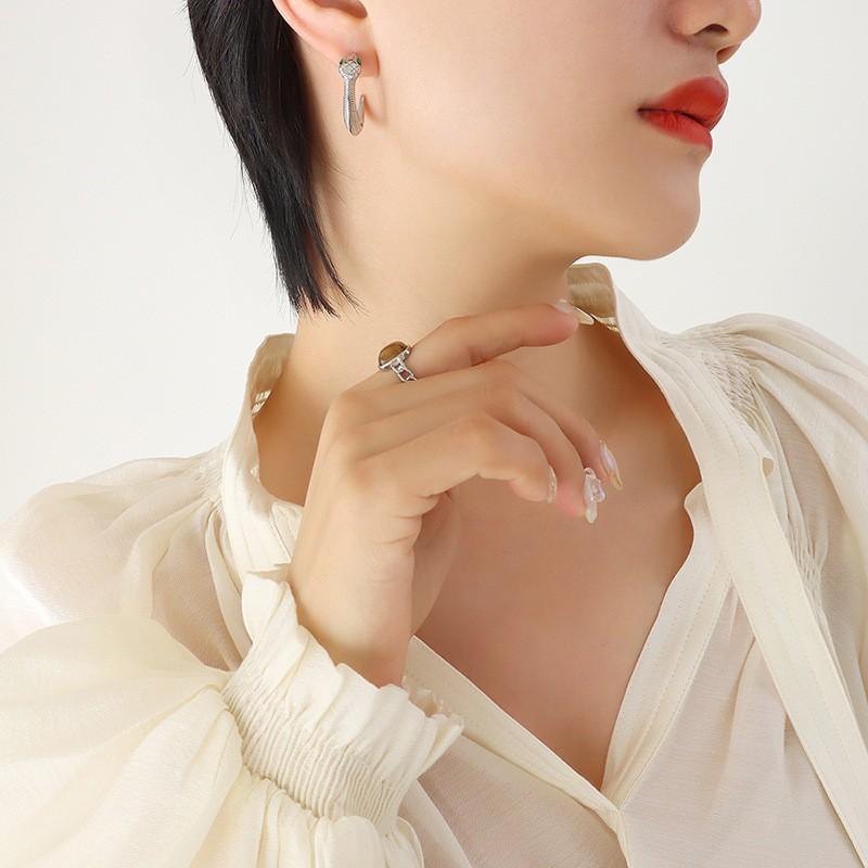 French Retro Women's Personalized Snake Earrings Trendy Light Luxury Plated 18K Creative Titanium Steel Earrings