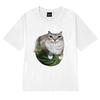 Funny Watermelon Cat Silly Cat Meme printed T Shirt 2025 New Men Women Oversized short sleeve T-shirts Unisex 100% Cotton Tops