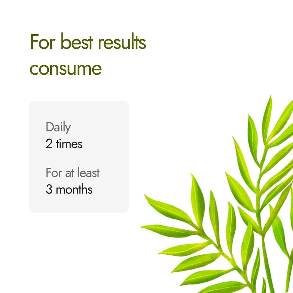 Kapiva Cholest Fit Capsules 60  Pack 500MG Ayurvedic Supplement for Cholesterol Support