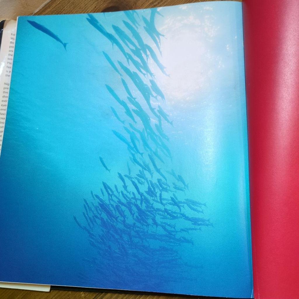 [USED] SEA MONSTERS: Prehistoric Predators