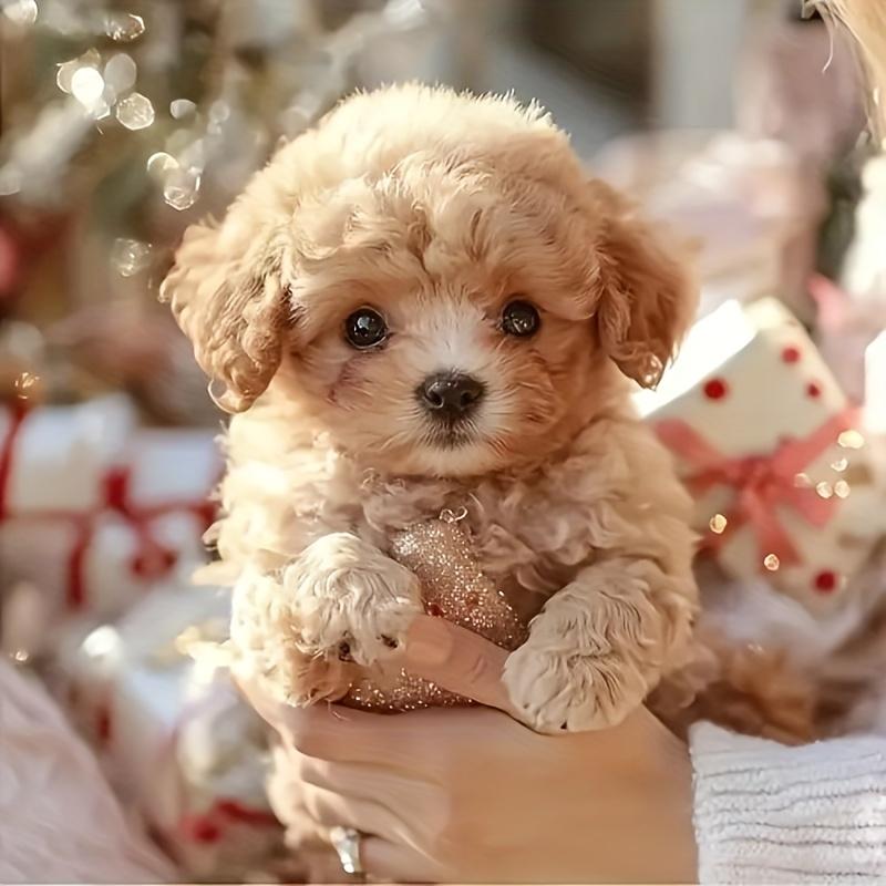 Robotic Dog, Simulation of a Puppy Robot, Children's Dog Robot, Can Walk, Bark and Wag Its Tail, Comes with a Leash, Birthday Gift