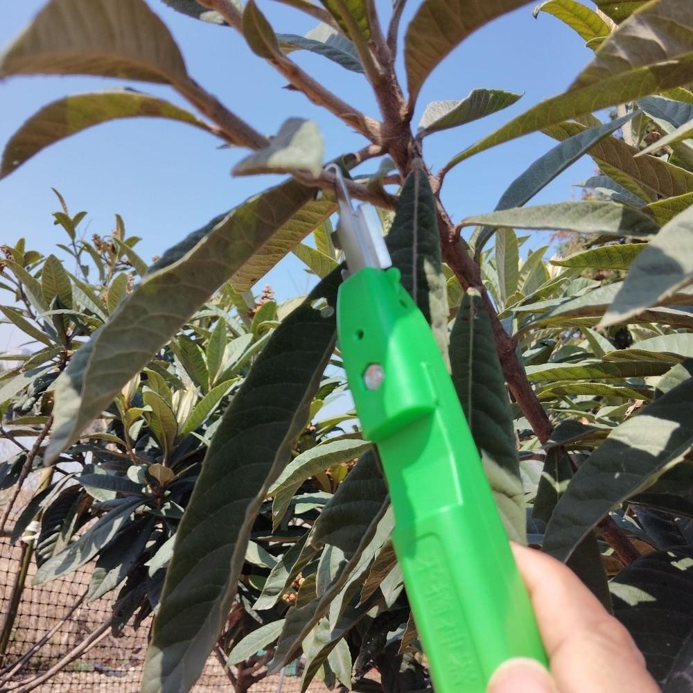 Handheld Berry Picking Tool Ergonomic Thorn-Proof Fruit Harvesting Shears Heavy-Duty Anti-Scratch Pruning Cutter Gardening