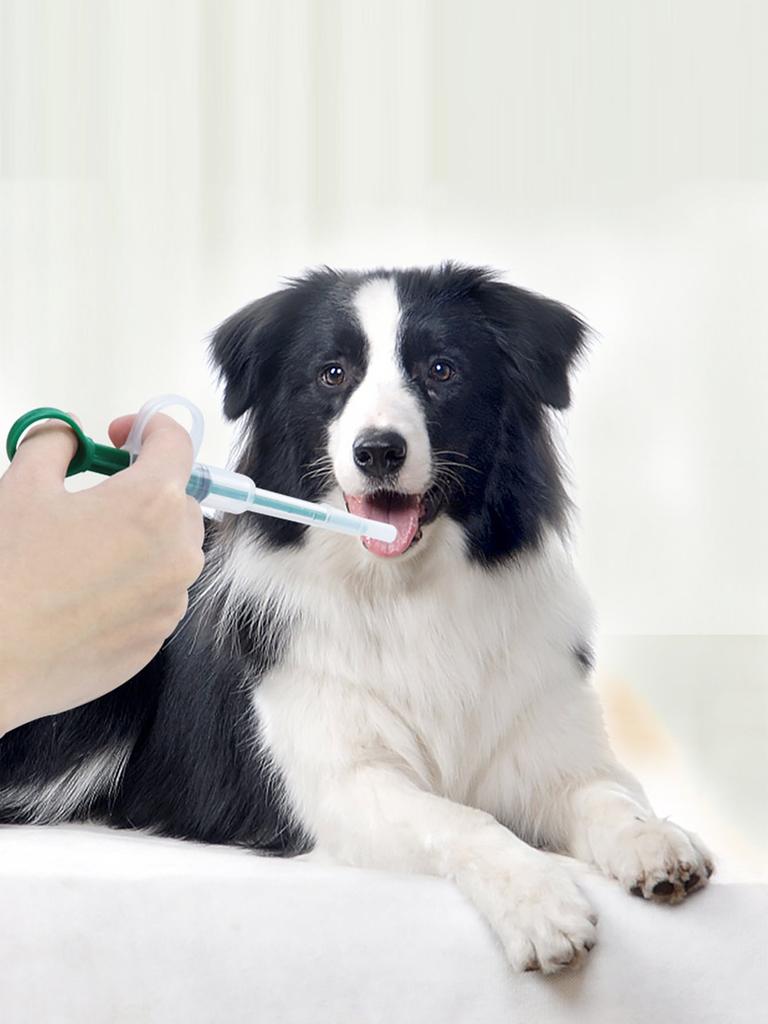 1pc Pet Pill Dispenser Tablet Syringe with Soft Tip for Cats Piller Shooter Food Feeding Tool Kit for Dogs and Small Animals