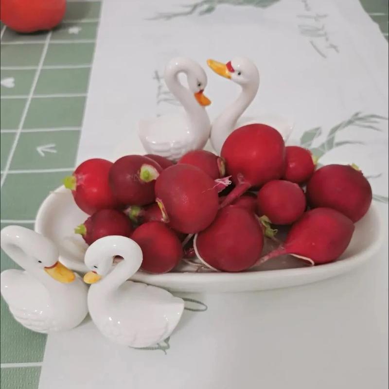 Kreativer Schwan Keramikteller, Dessert-, Sushi- & Obstservierschale, Dekorative Schwanenplatte