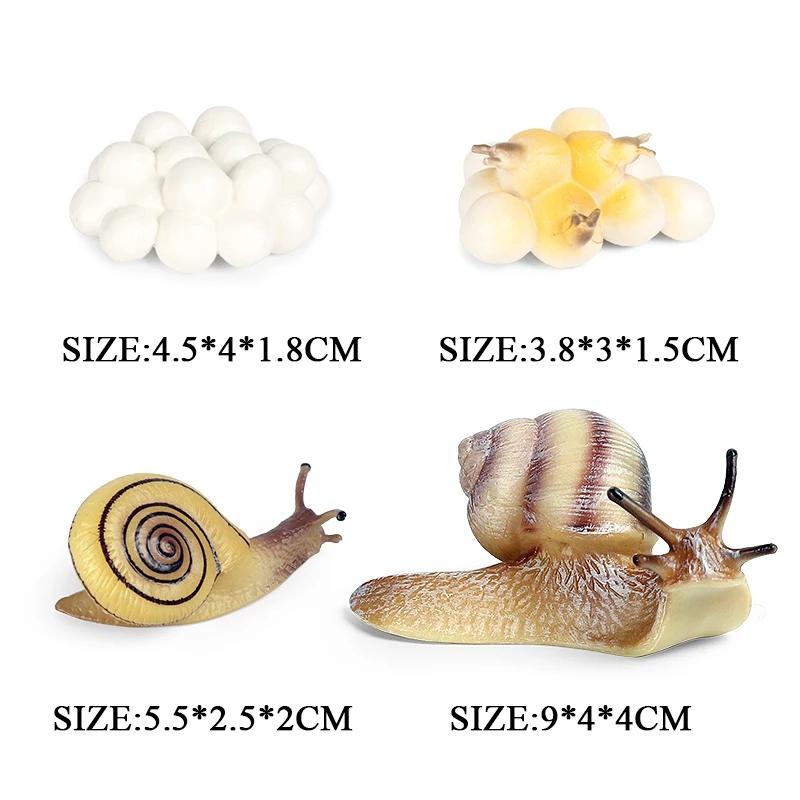 Oenux Simulation Luna Moth Salmon Butterfly Ants Life Growth Cycle Animals Model Action Figures Educational Miniature Kids Toy