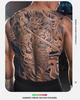 Wasserdichter semi-permanenter Vollrücken-Kräuter-Tattoo-Aufkleber - Langlebiges, realistisches Design für Männer und Frauen